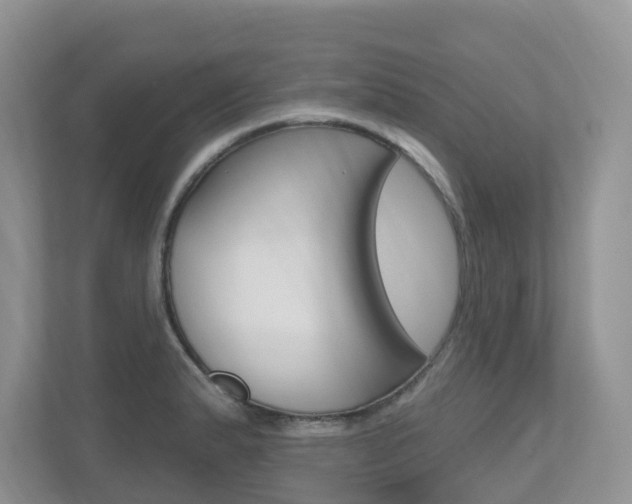 X0000112501183200908171005