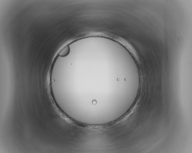 X0000112501198200908171005
