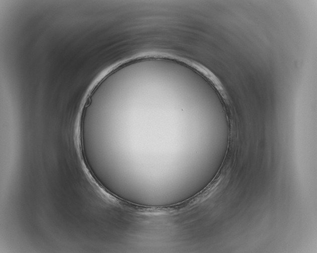 X0000112501199200908171005