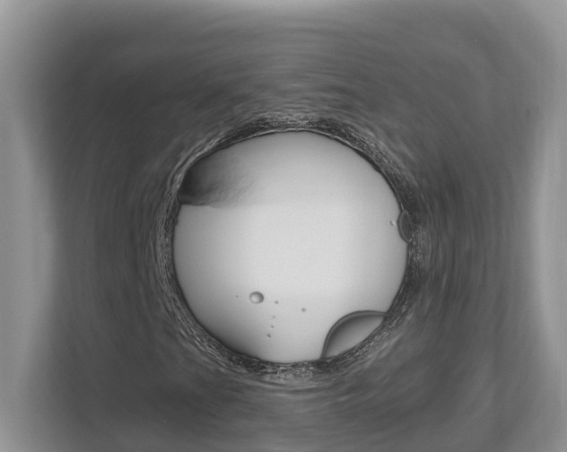 X0000112501201200908171004