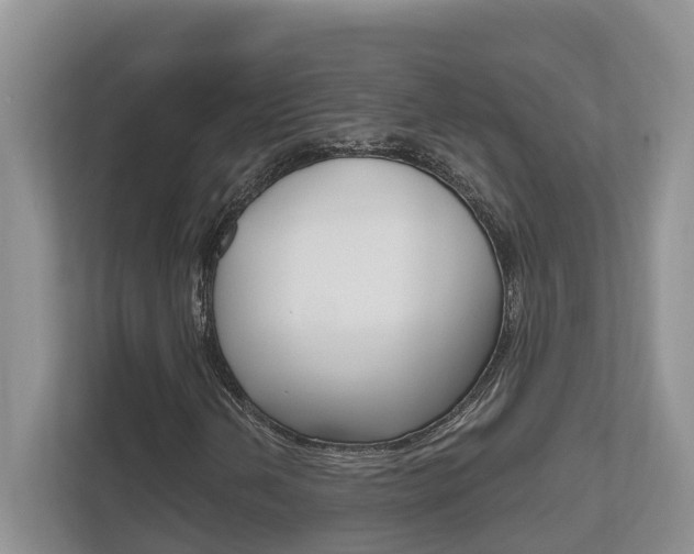 X0000112501202200908171004