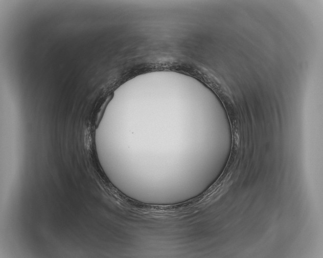 X0000112501204200908171004