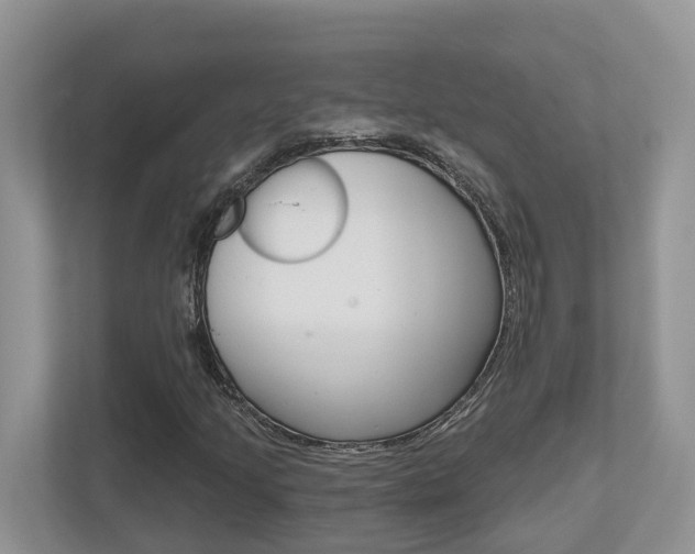 X0000112501205200908171004