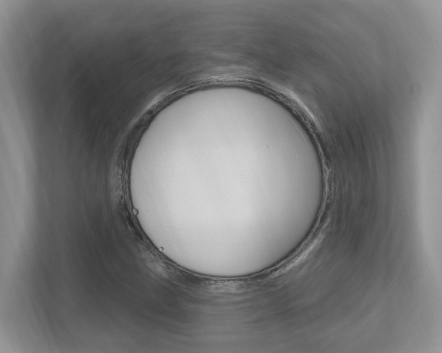 X0000112501211200908171004