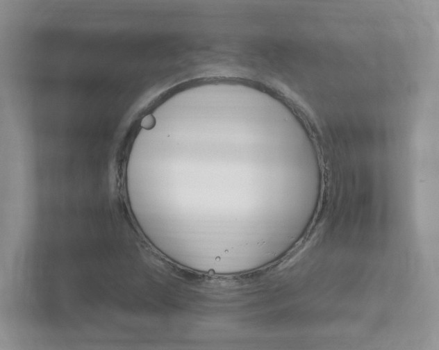 X0000112501215200908171004