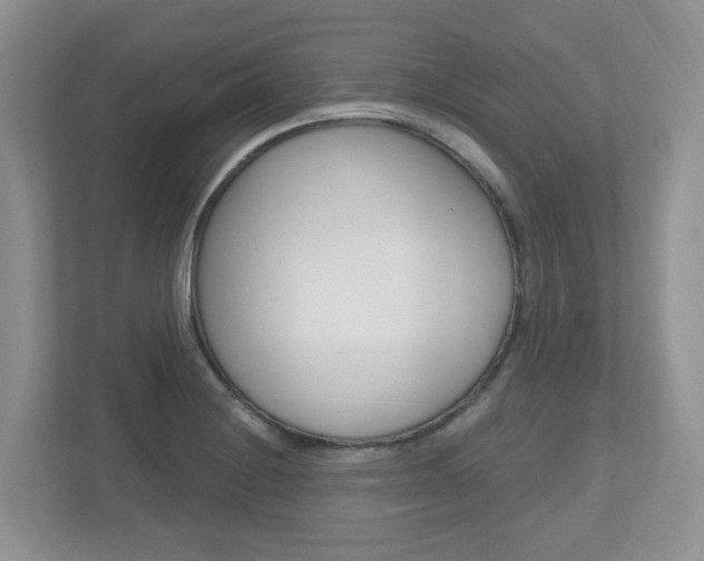 X0000112501228200908171005