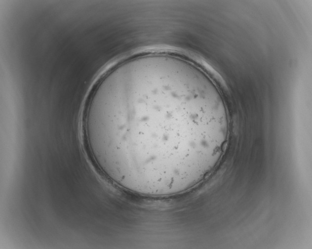 X0000112501229200908171005