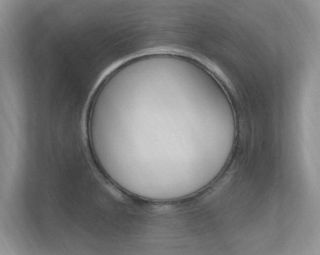X0000112501230200908171005