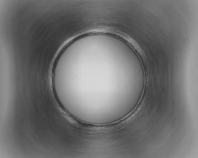 X0000112501232200908171005