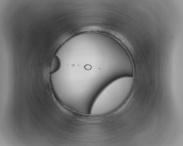 X0000112501233200908171005