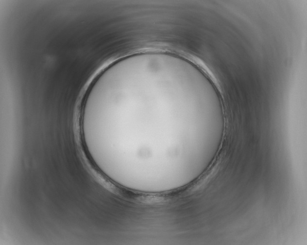 X0000112501235200908171005