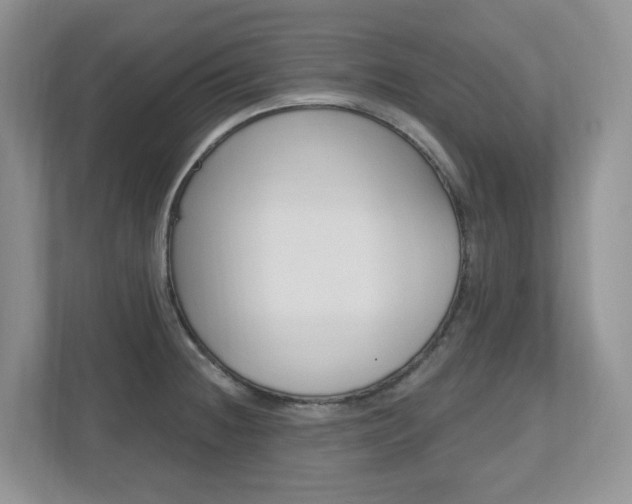X0000112501236200908171005