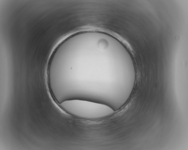 X0000112501239200908171005