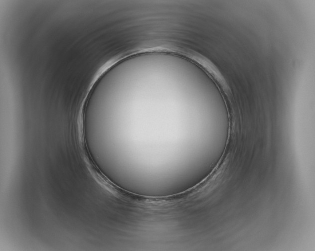 X0000112501242200908171005