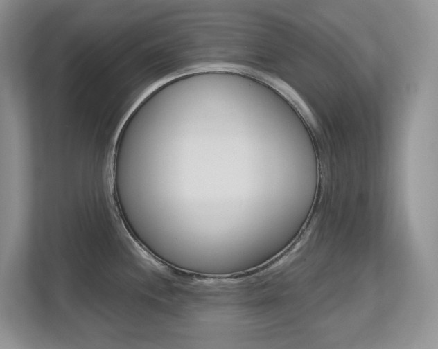 X0000112501244200908171005