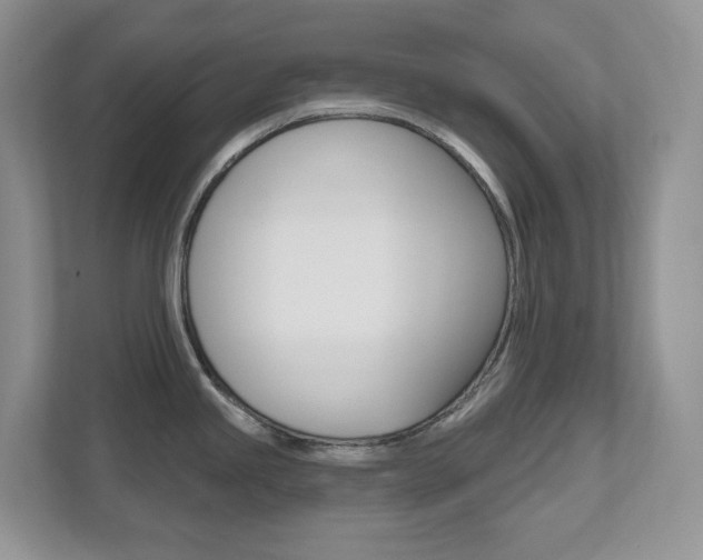 X0000112501245200908171005
