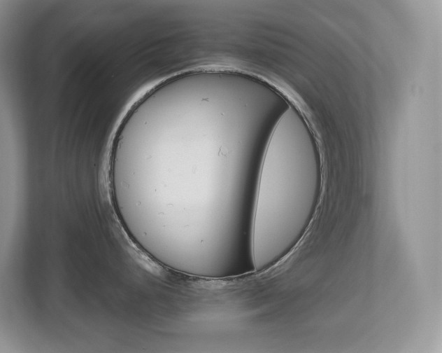 X0000112501248200908171005