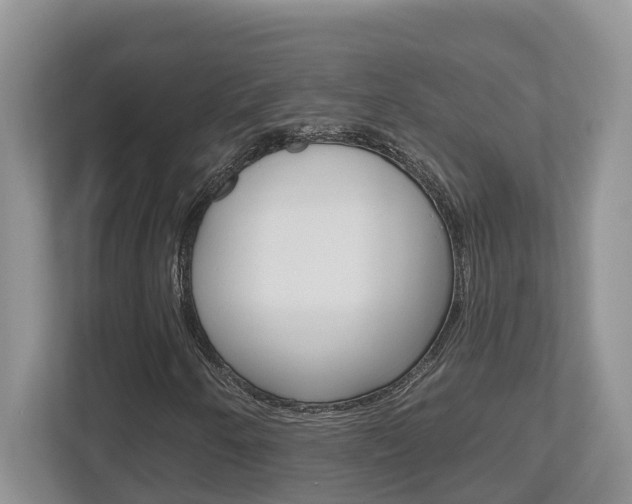 X0000112501250200908171004
