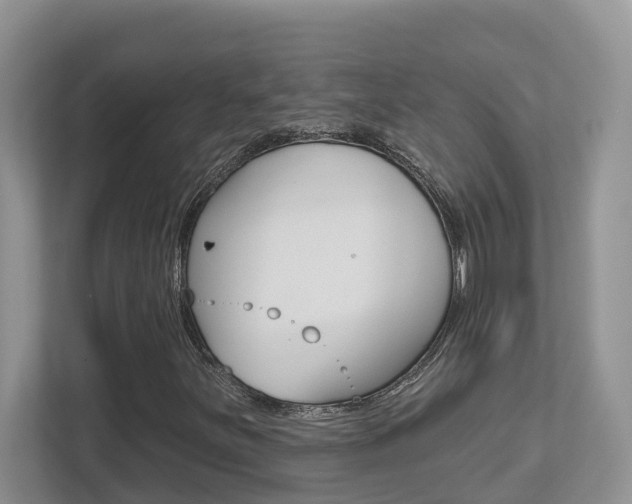 X0000112501251200908171004
