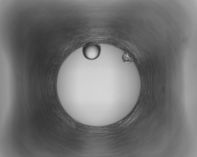 X0000112501252200908171004