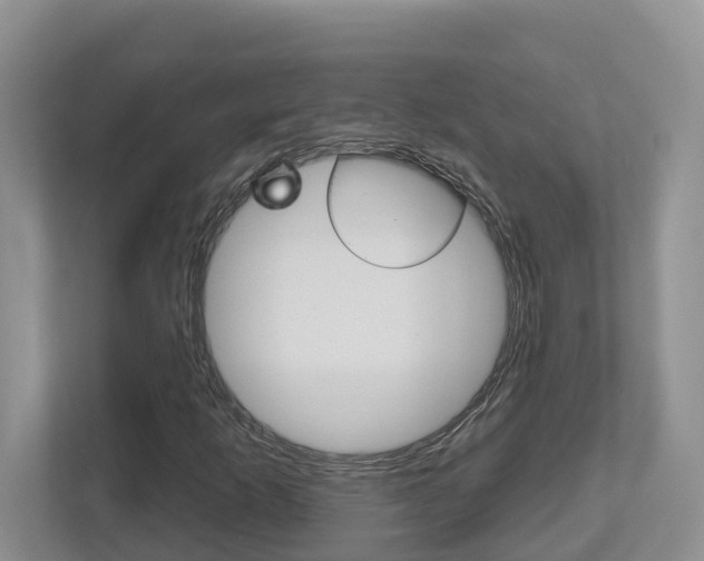 X0000112501253200908171004