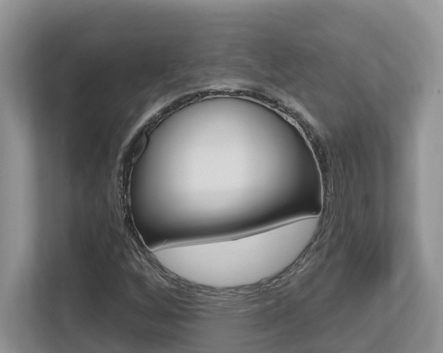 X0000112501256200908171004