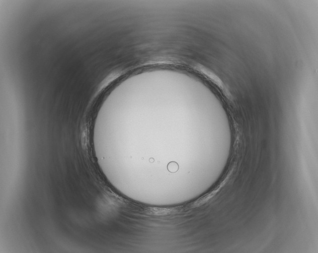 X0000112501258200908171004