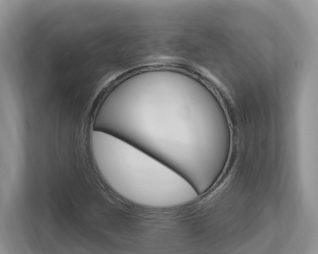 X0000112501259200908171004