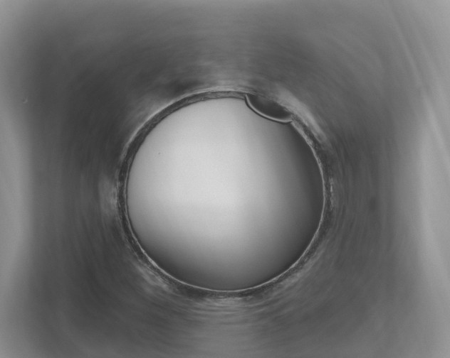 X0000112501260200908171004