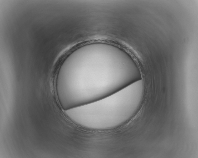 X0000112501262200908171004