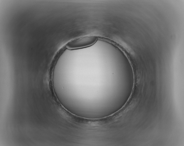 X0000112501264200908171004
