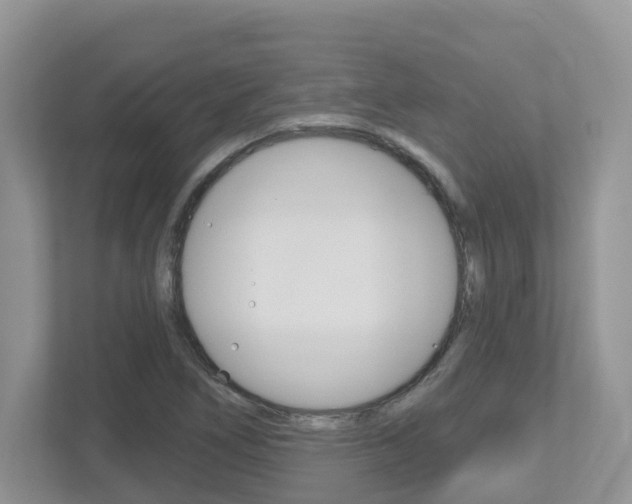 X0000112501266200908171004