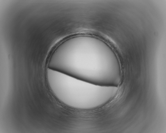 X0000112501267200908171004