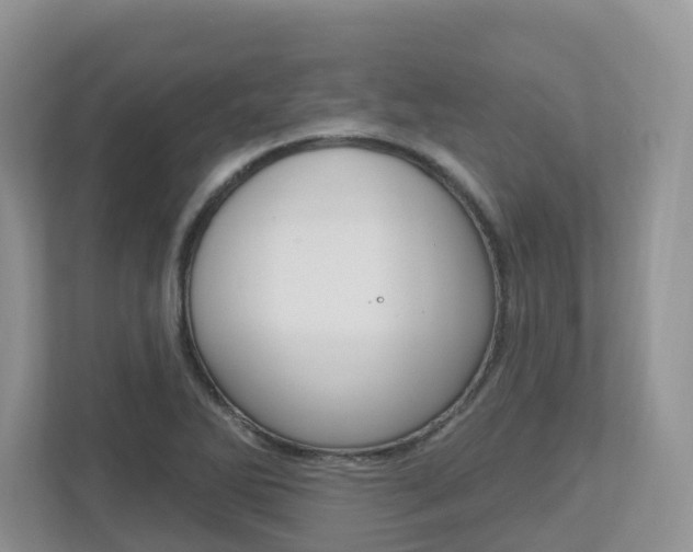 X0000112501270200908171004