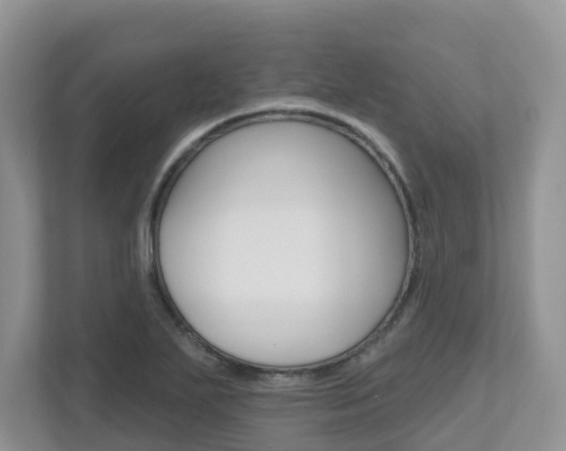 X0000112501271200908171004
