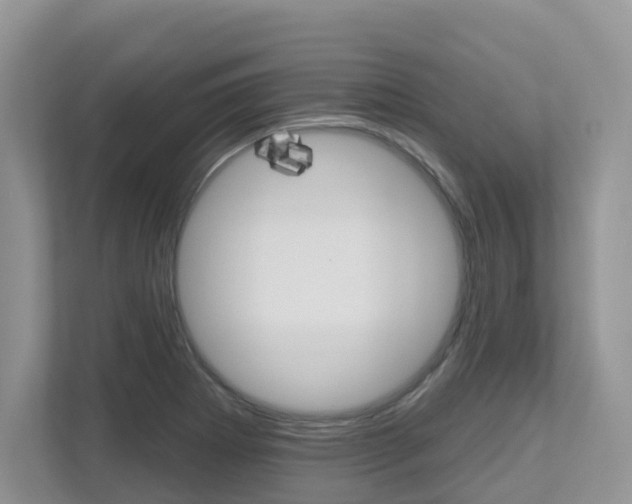X0000112501273200908171004