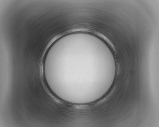 X0000112501274200908171004