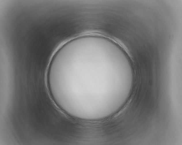 X0000112501277200908171004