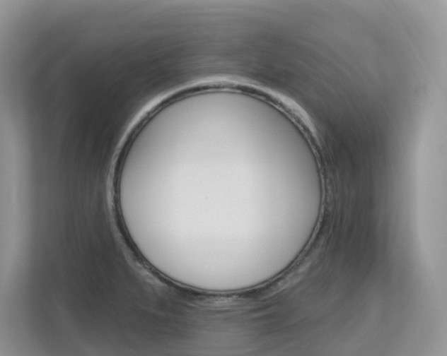 X0000112501279200908171004