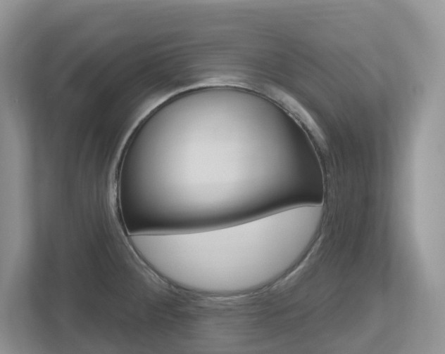 X0000112501284200908171004