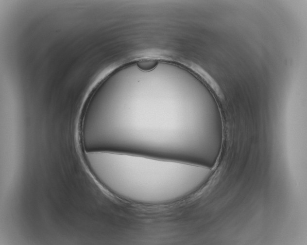 X0000112501285200908171004