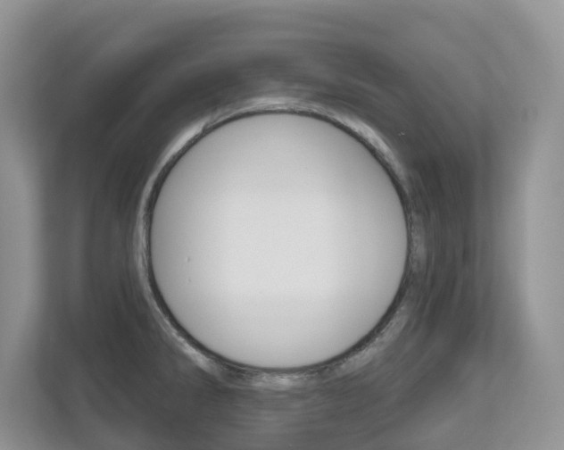 X0000112501286200908171004