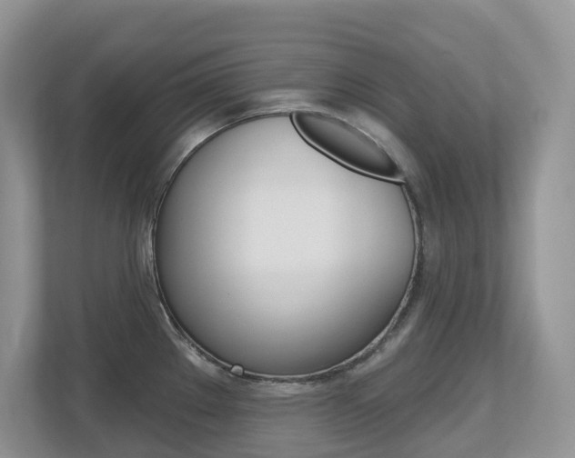 X0000112501289200908171004