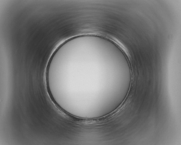 X0000112501291200908171004