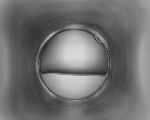 X0000112501293200908171004
