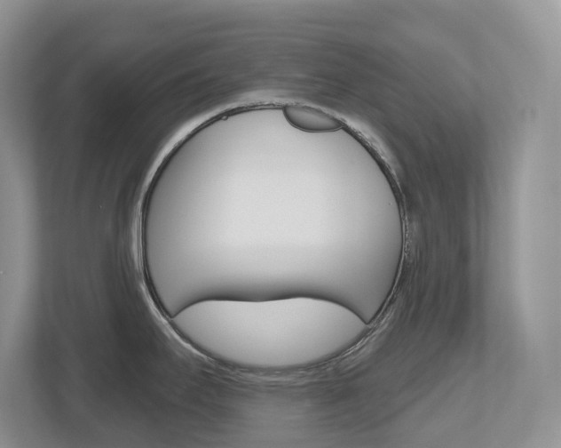 X0000112501295200908171004