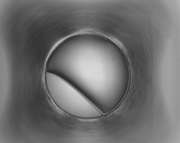 X0000112501296200908171004