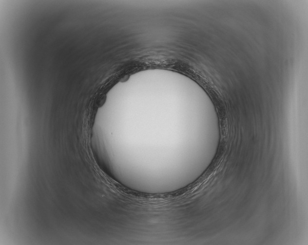 X0000112501297200908171003