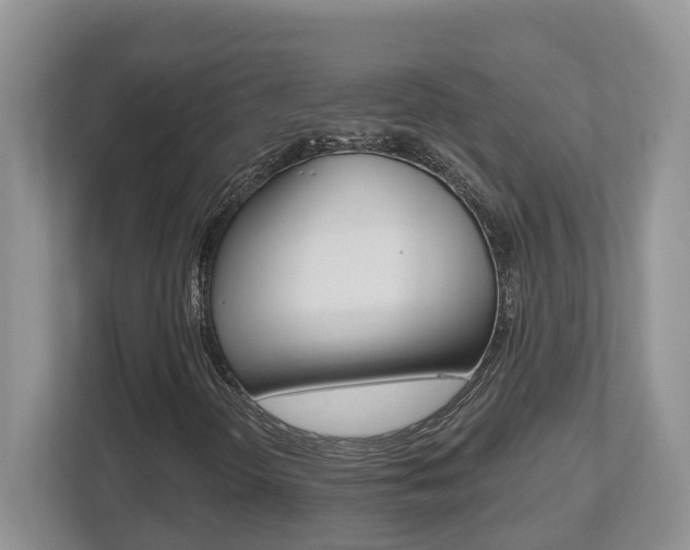 X0000112501298200908171003