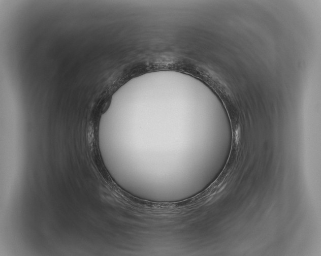 X0000112501299200908171003